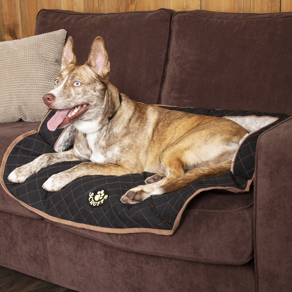 Wilton Sofa Dog Bed (in Blue, Grey, Black, Brown) by Scruffs