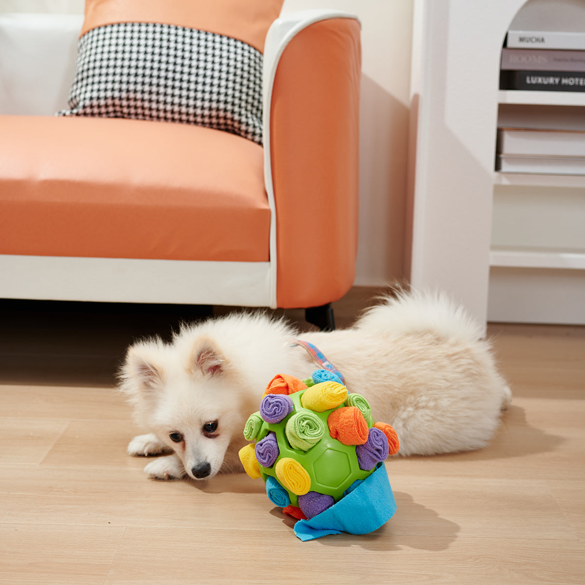 Interactive Dog Sniffing Ball Puzzle Toy