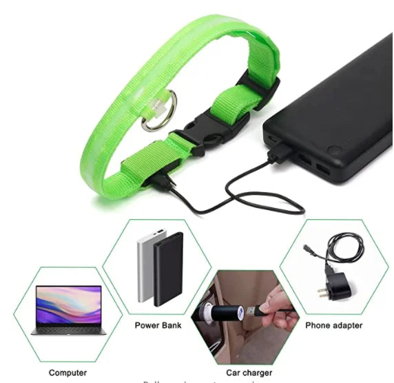 Luxury LED Dog Collar | USB Rechargeable Glow Light Safety Collar with Pendant