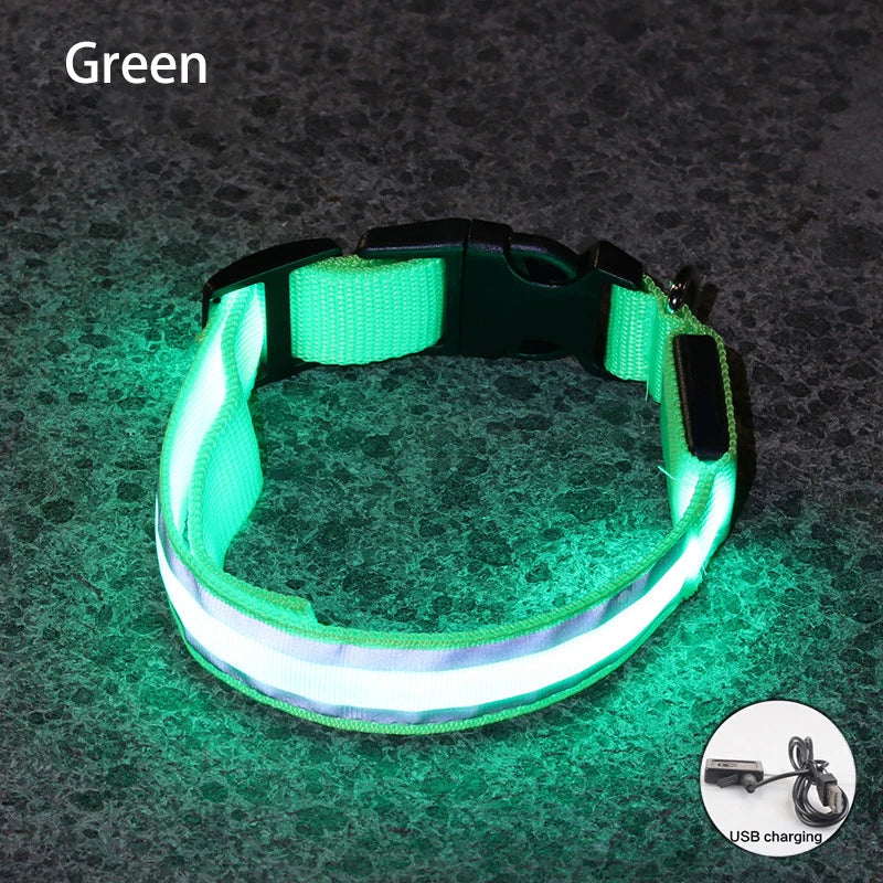 LED Dog Collar | Rechargeable Glow in the Dark Pet Safety Light Collar