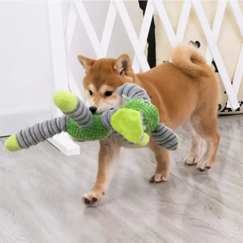 Squeaky Dog Toy | Durable Plush Chew Toy for Dogs (Teeth Cleaning & Training)