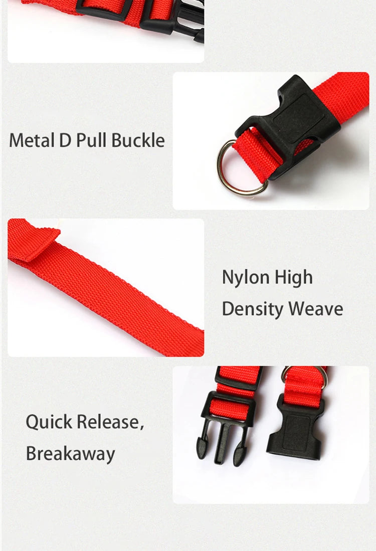 LED Dog Collar | Rechargeable Glow in the Dark Pet Safety Light Collar