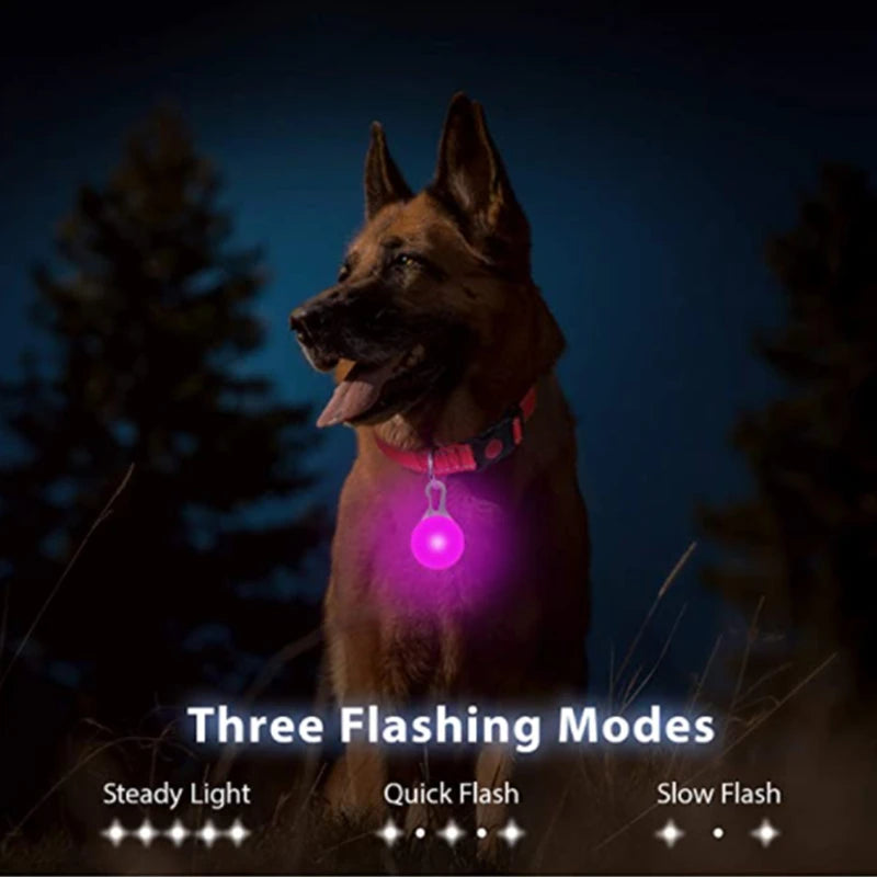 Luxury LED Dog Collar | USB Rechargeable Glow Light Safety Collar with Pendant