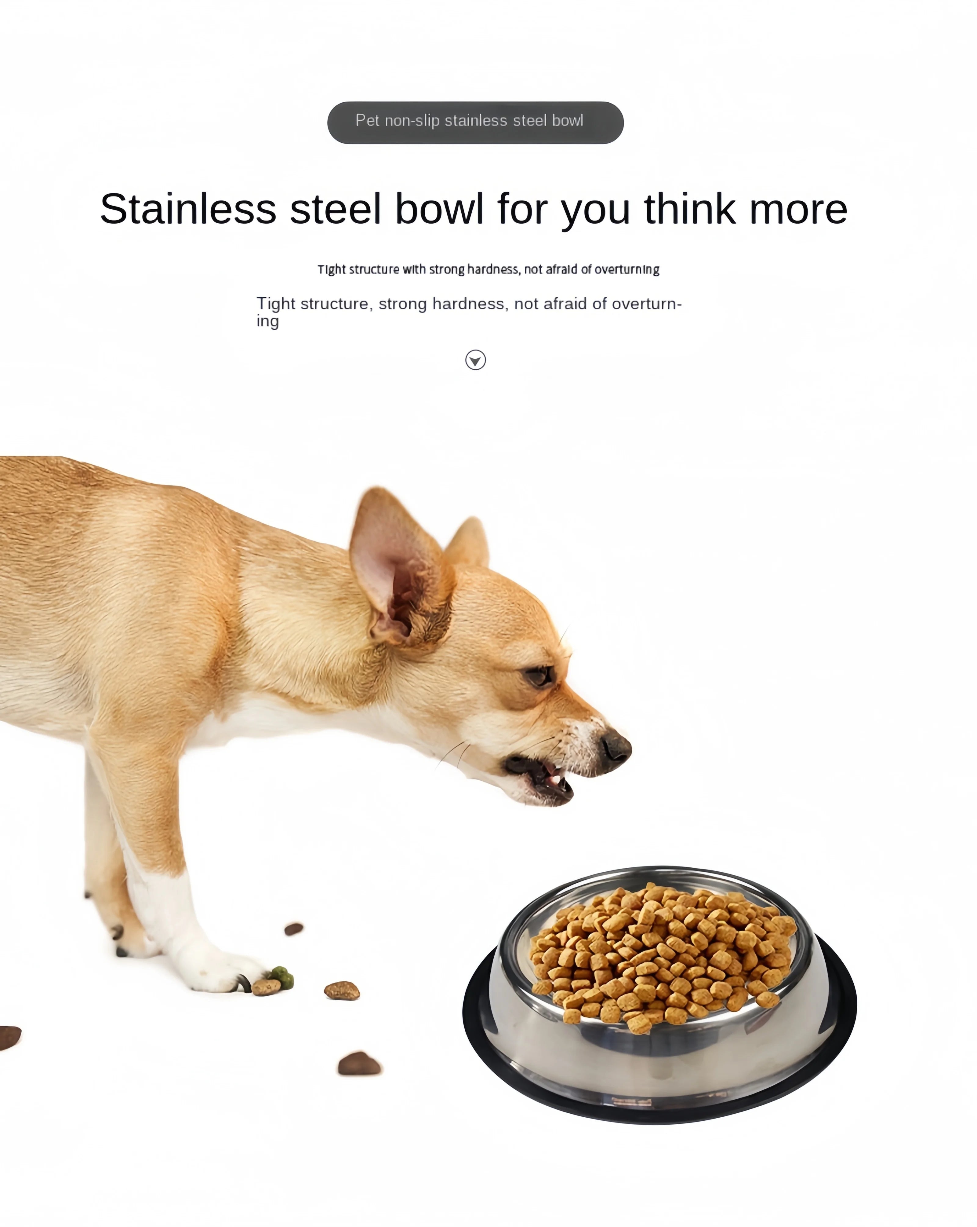 Stainless Steel Pet Bowl | Durable Dog & Cat Feeding & Water Bowl (6 Sizes)