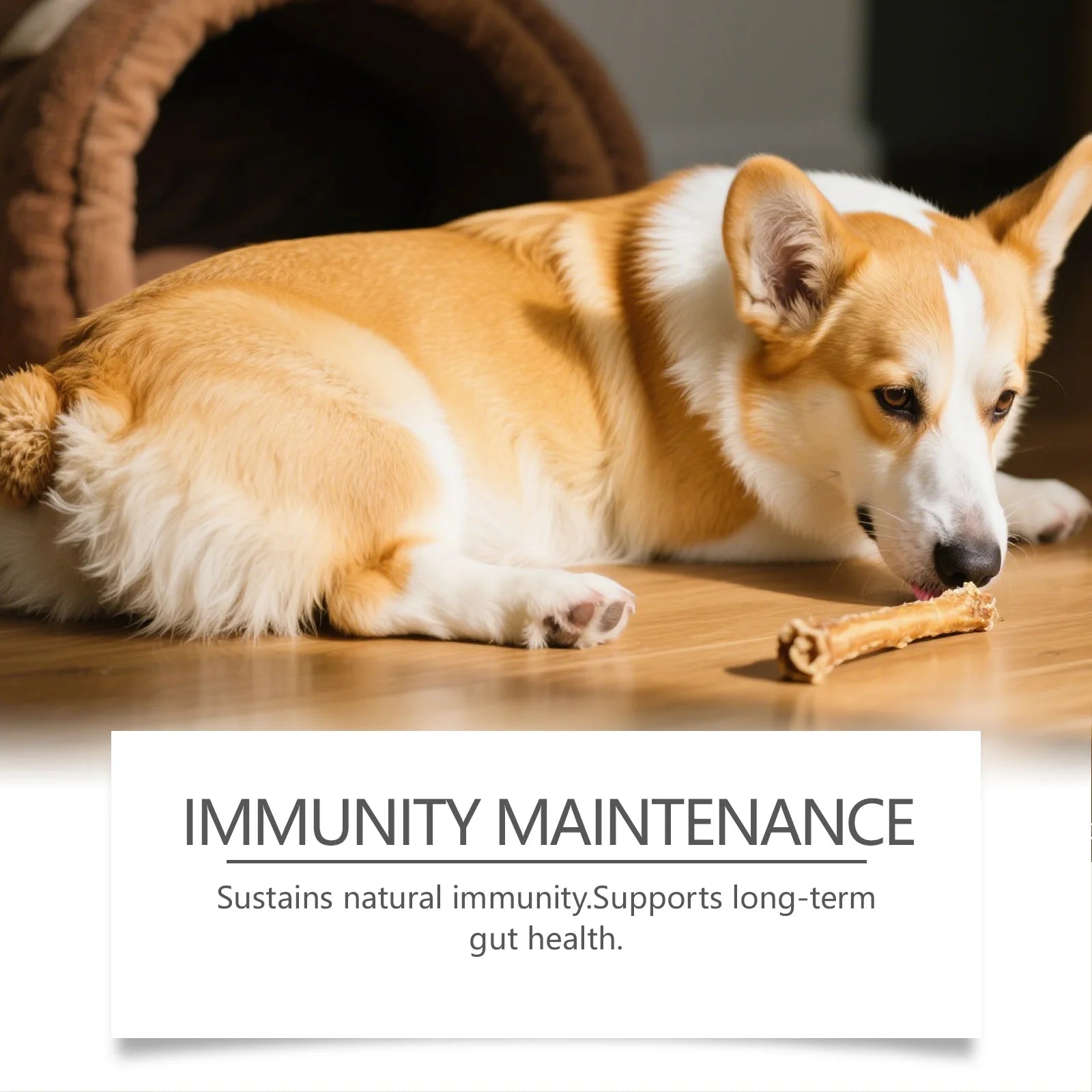 Dog Multivitamin Chews | Daily Immunity & Coat Support Supplement with Turmeric
