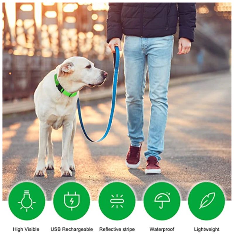 Luxury LED Dog Collar | USB Rechargeable Glow Light Safety Collar with Pendant
