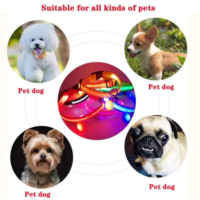 Luxury LED Dog Collar | USB Rechargeable Glow Light Safety Collar with Pendant