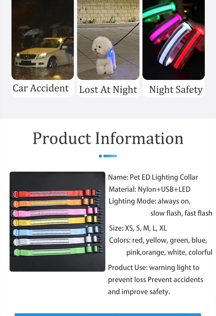 LED Dog Collar | Rechargeable Glow in the Dark Pet Safety Light Collar