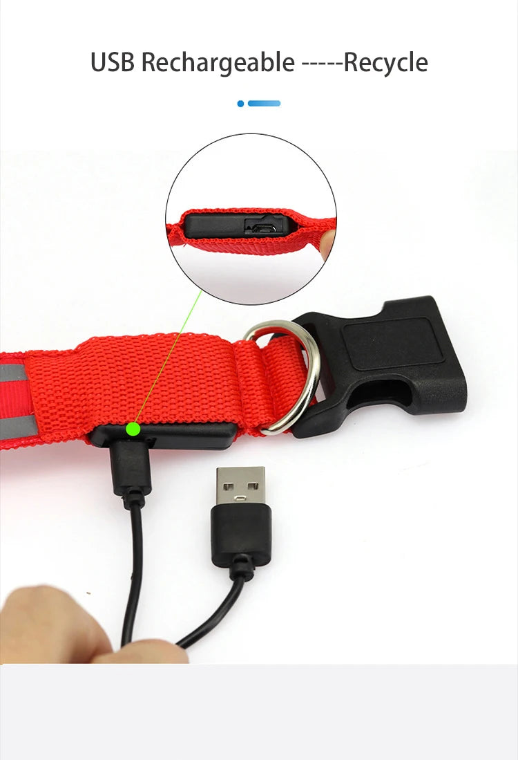 LED Dog Collar | Rechargeable Glow in the Dark Pet Safety Light Collar