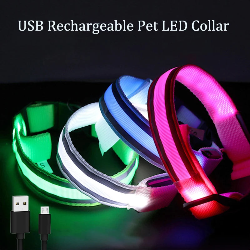 LED Dog Collar | Rechargeable Glow in the Dark Pet Safety Light Collar