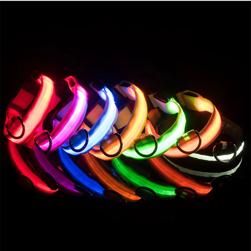 Luxury LED Dog Collar | USB Rechargeable Glow Light Safety Collar with Pendant