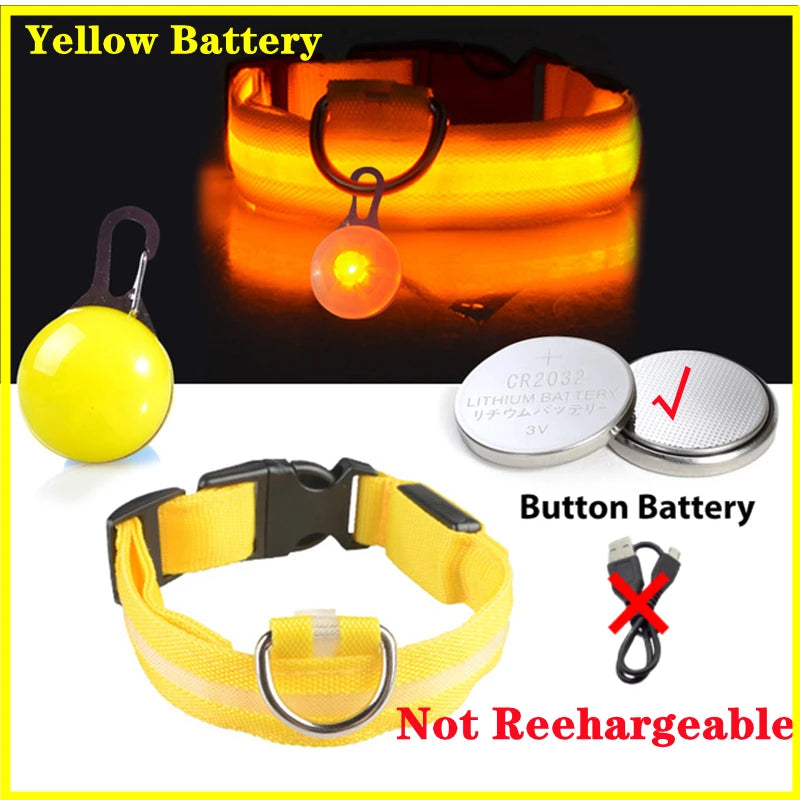 Luxury LED Dog Collar | USB Rechargeable Glow Light Safety Collar with Pendant