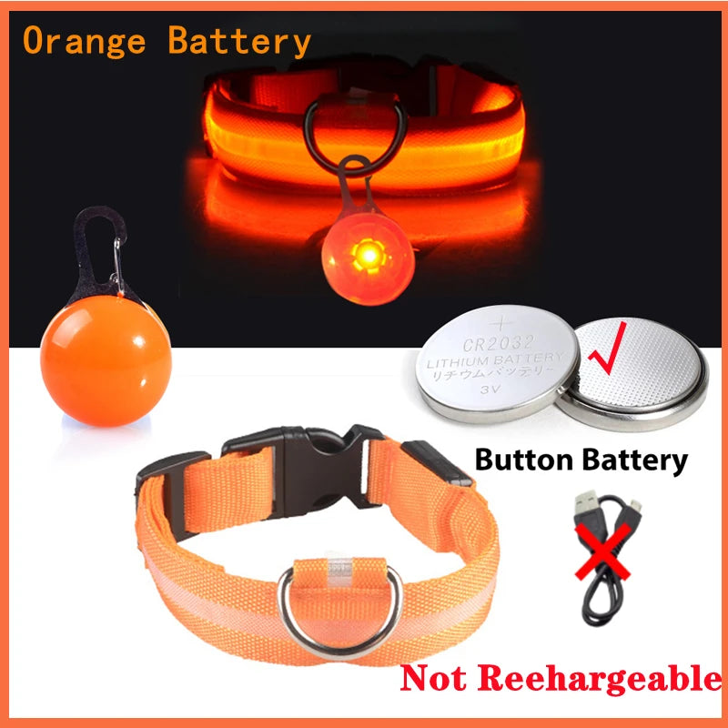 Luxury LED Dog Collar | USB Rechargeable Glow Light Safety Collar with Pendant