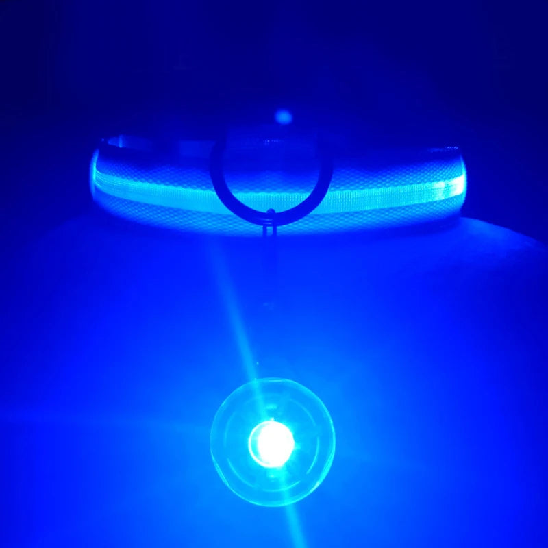 Luxury LED Dog Collar | USB Rechargeable Glow Light Safety Collar with Pendant