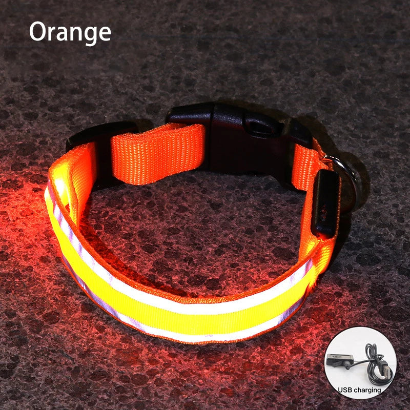 LED Dog Collar | Rechargeable Glow in the Dark Pet Safety Light Collar