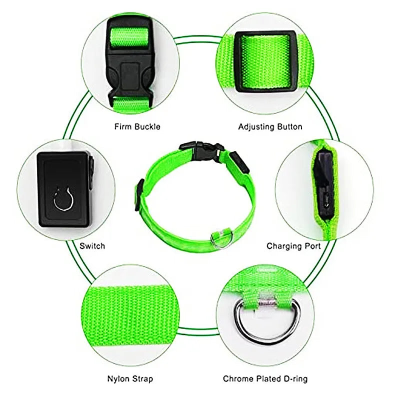 Luxury LED Dog Collar | USB Rechargeable Glow Light Safety Collar with Pendant
