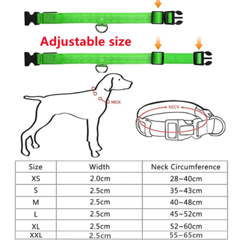 Luxury LED Dog Collar | USB Rechargeable Glow Light Safety Collar with Pendant