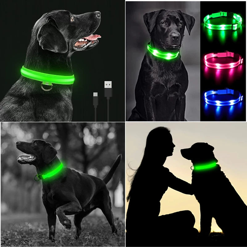 Luxury LED Dog Collar | USB Rechargeable Glow Light Safety Collar with Pendant