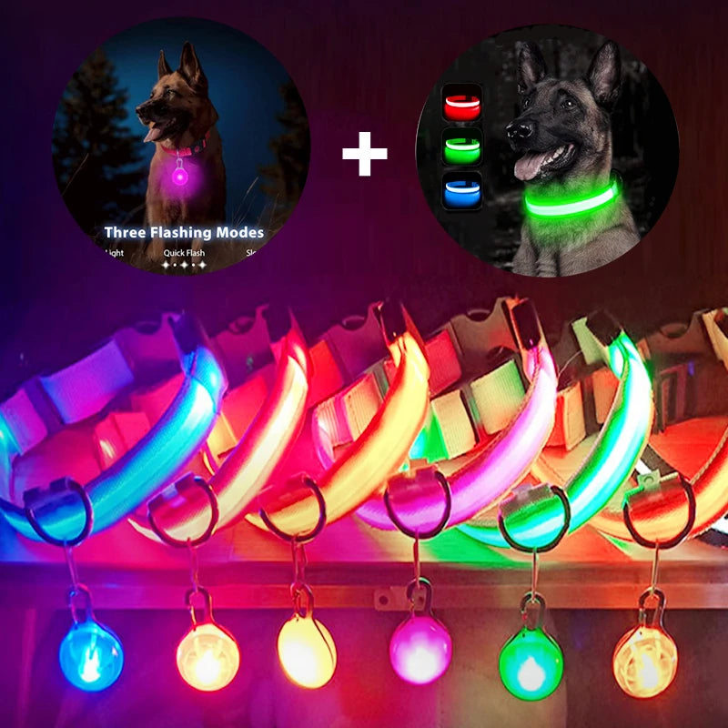 Luxury LED Dog Collar | USB Rechargeable Glow Light Safety Collar with Pendant