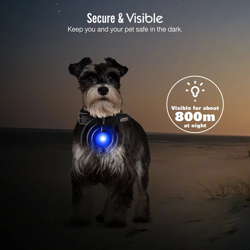 Luxury LED Dog Collar | USB Rechargeable Glow Light Safety Collar with Pendant