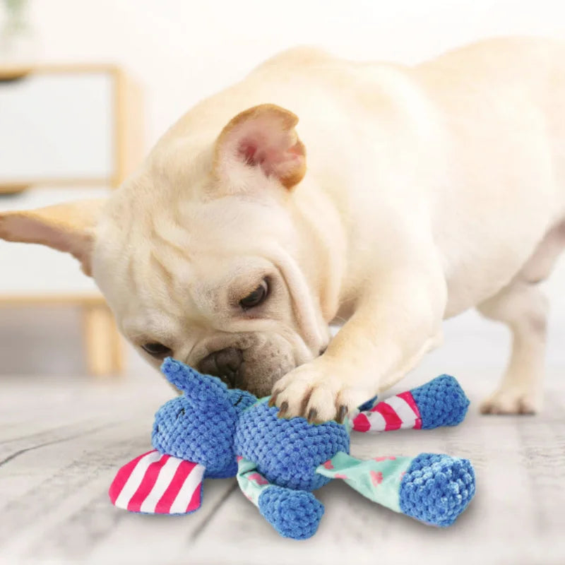 Small Dog Squeaky Toy | Plush Chew Toy for Puppies (Chihuahua, Yorkie, Bichon)