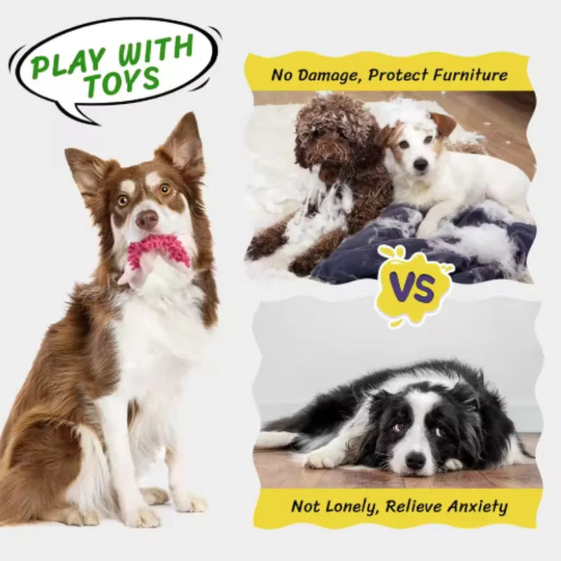 Small Dog Squeaky Toy | Plush Chew Toy for Puppies (Chihuahua, Yorkie, Bichon)