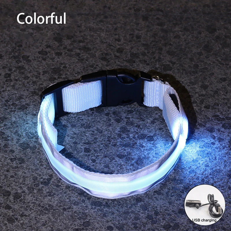 LED Dog Collar | Rechargeable Glow in the Dark Pet Safety Light Collar