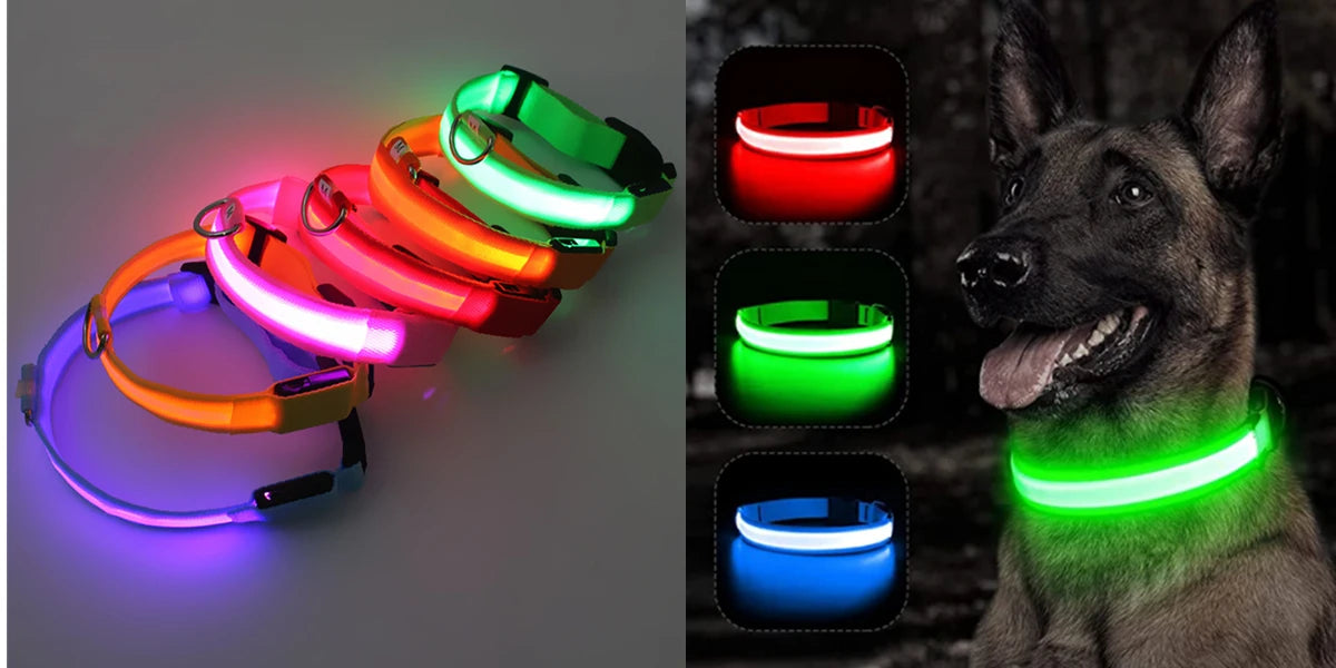 Luxury LED Dog Collar | USB Rechargeable Glow Light Safety Collar with Pendant