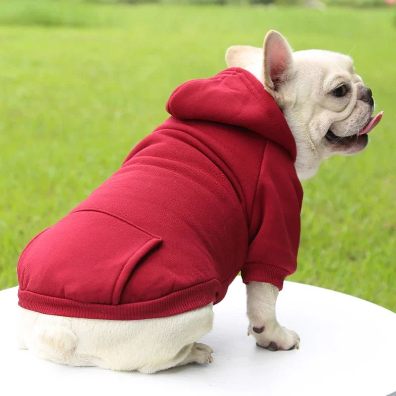Warm Dog Hoodie | Pet Hoodie for Small Dogs (Soft & Comfortable)