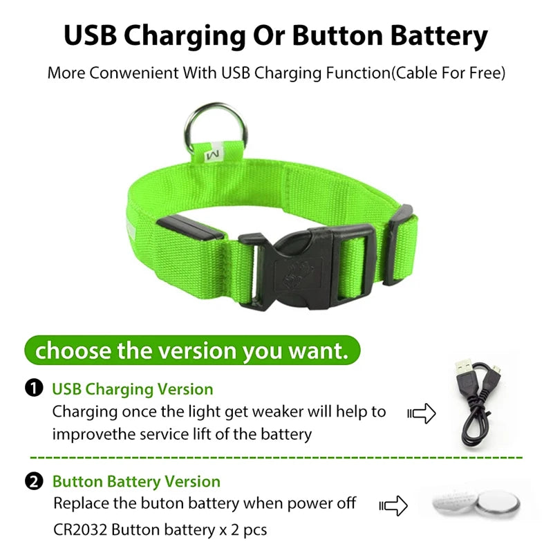 Luxury LED Dog Collar | USB Rechargeable Glow Light Safety Collar with Pendant