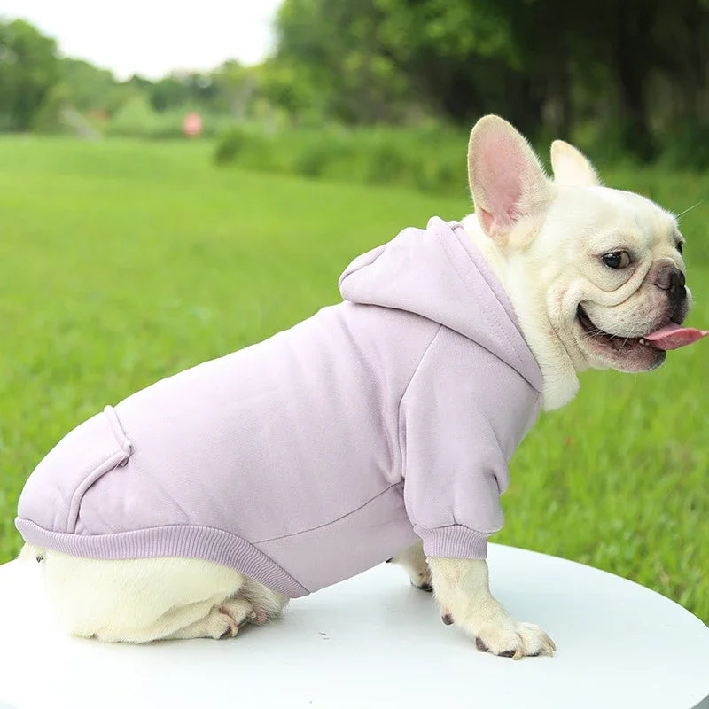 Warm Dog Hoodie | Pet Hoodie for Small Dogs (Soft & Comfortable)