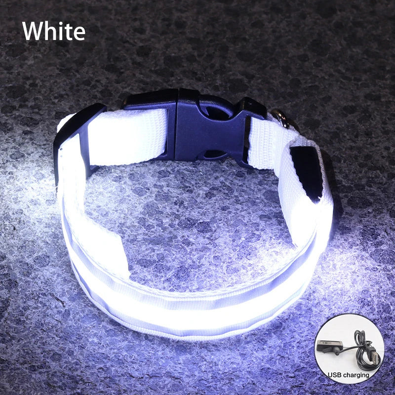 LED Dog Collar | Rechargeable Glow in the Dark Pet Safety Light Collar