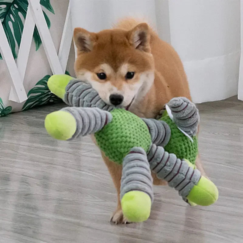 Squeaky Dog Toy | Durable Plush Chew Toy for Dogs (Teeth Cleaning & Training)