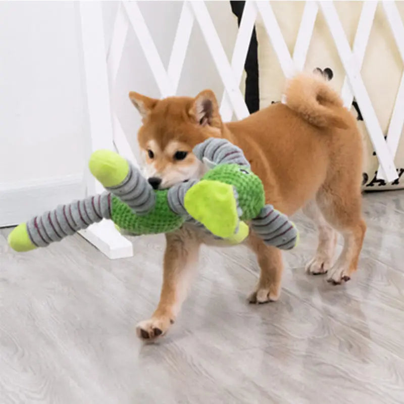 Squeaky Dog Toy | Durable Plush Chew Toy for Dogs (Teeth Cleaning & Training)