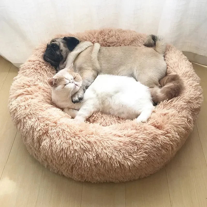Calming Donut Dog Bed | Super Soft Plush Pet Bed for Small, Medium & Large Dogs