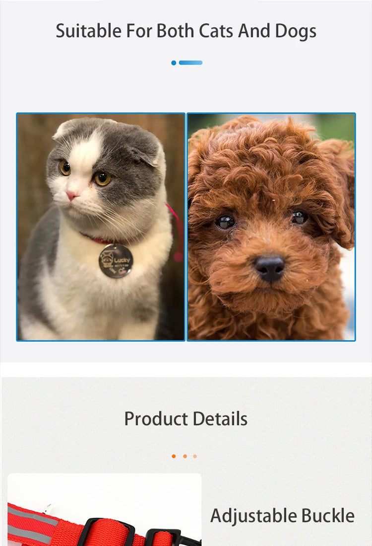 LED Dog Collar | Rechargeable Glow in the Dark Pet Safety Light Collar