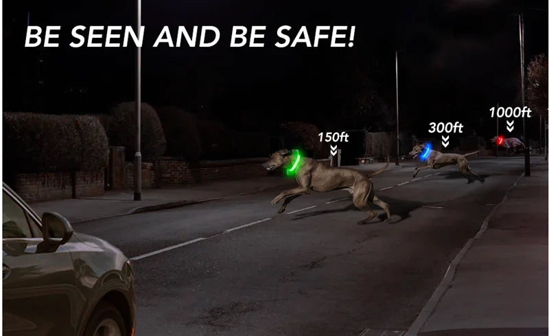 Luxury LED Dog Collar | USB Rechargeable Glow Light Safety Collar with Pendant