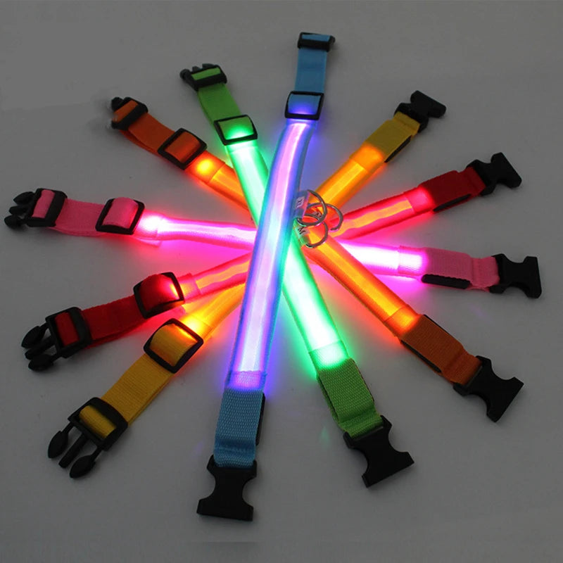 Luxury LED Dog Collar | USB Rechargeable Glow Light Safety Collar with Pendant
