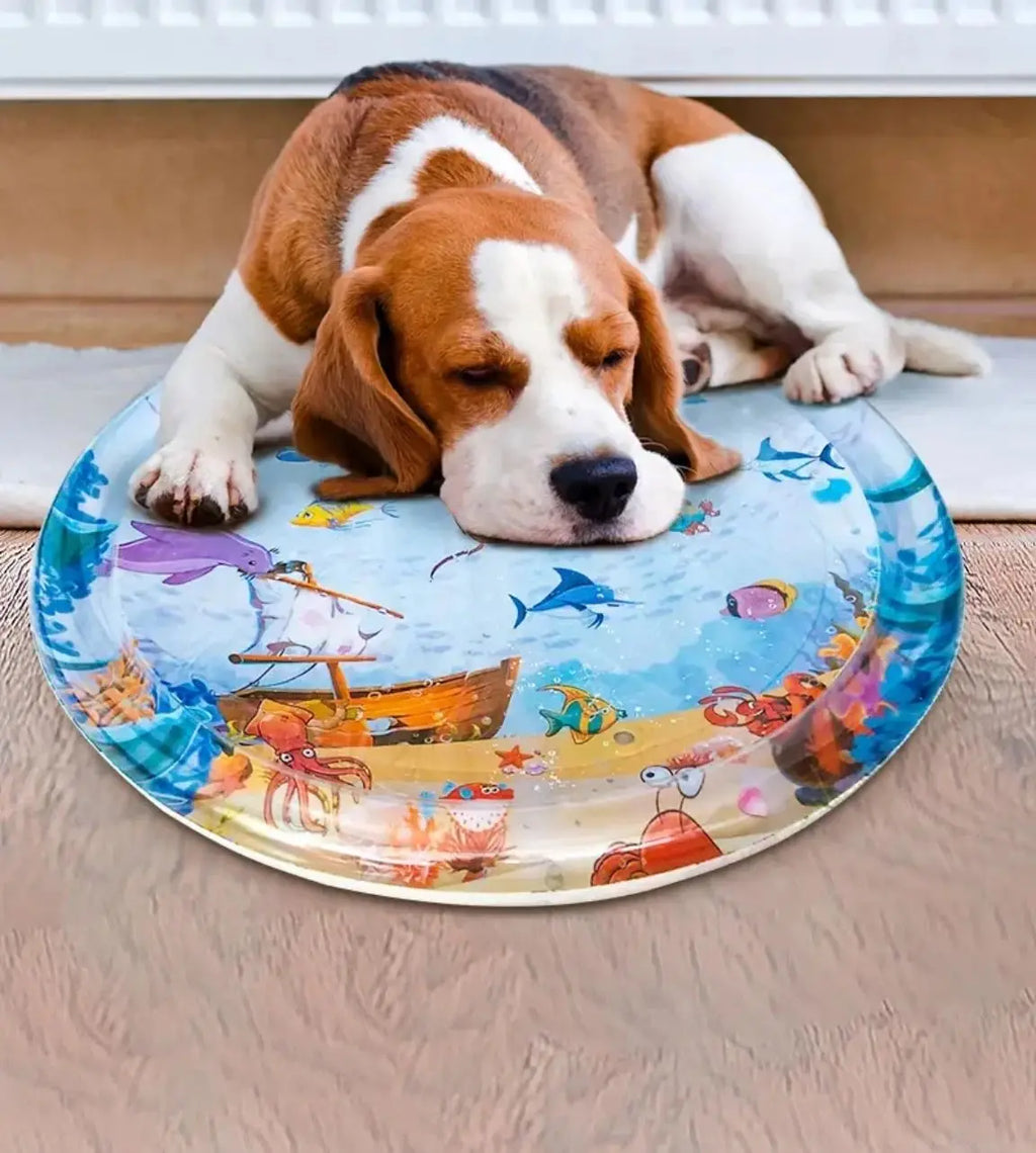 Cooling Pet Water Mat | Inflatable Sensory Splash Pad for Dogs & Cats