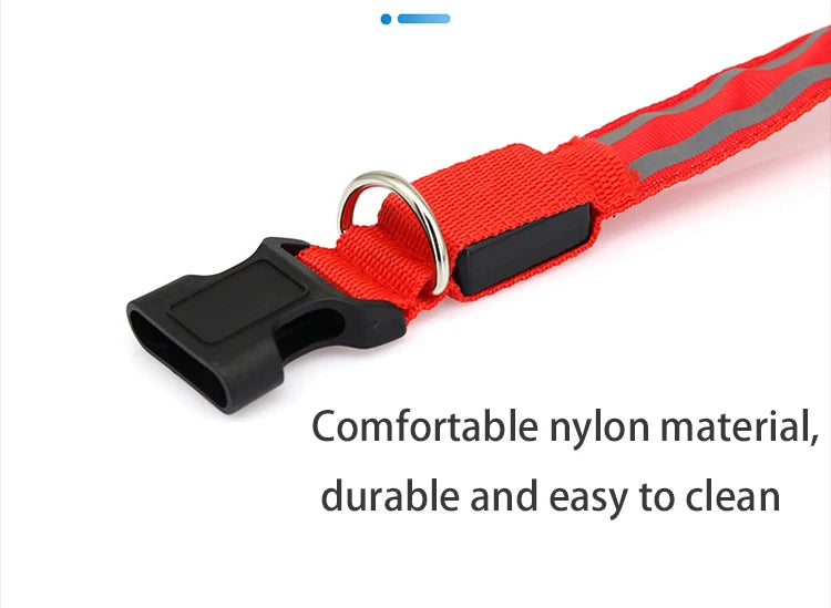 LED Dog Collar | Rechargeable Glow in the Dark Pet Safety Light Collar