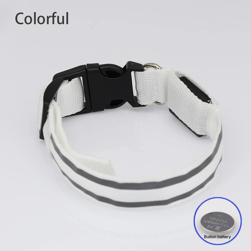 LED Dog Collar | Rechargeable Glow in the Dark Pet Safety Light Collar
