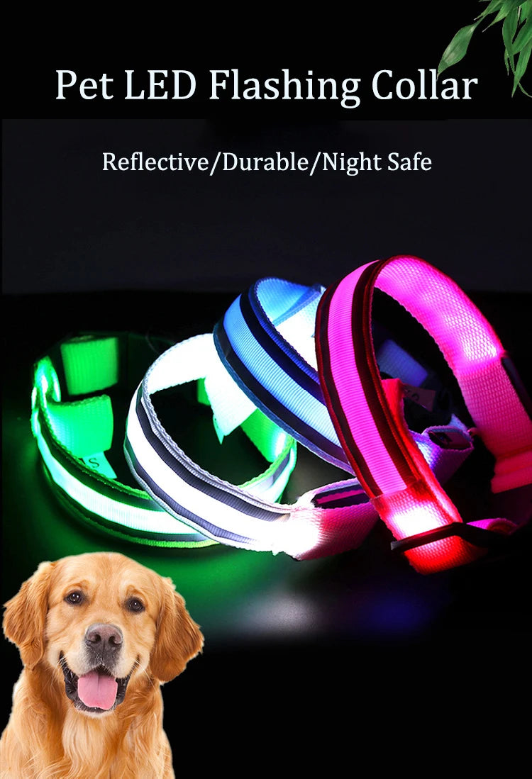 LED Dog Collar | Rechargeable Glow in the Dark Pet Safety Light Collar