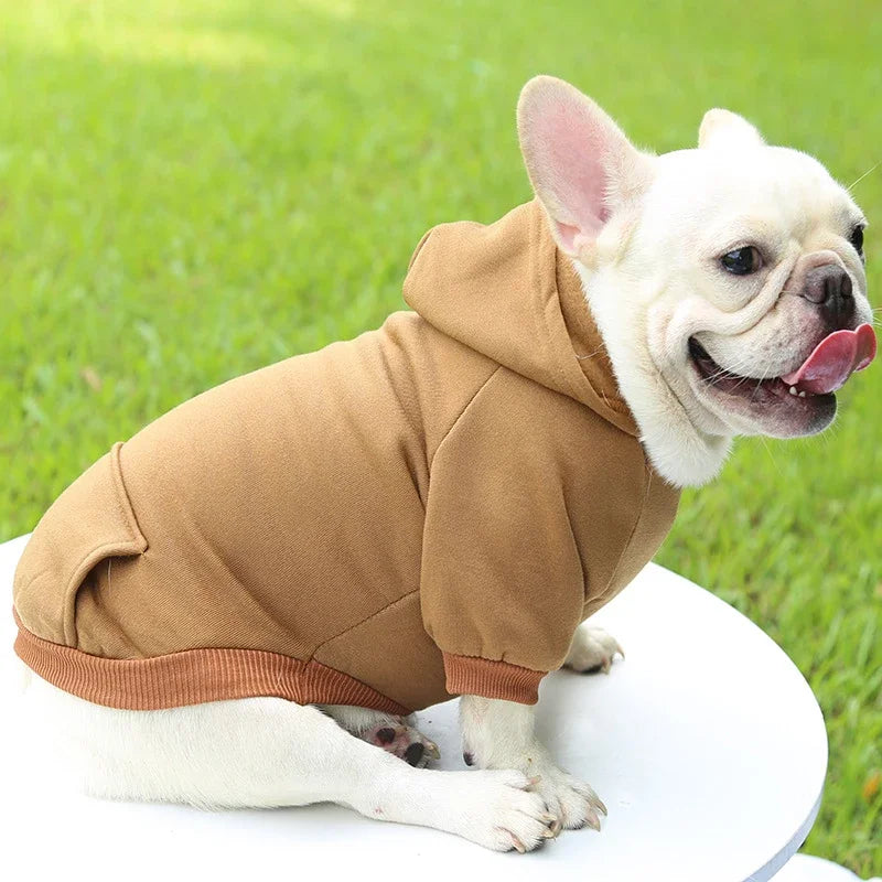 Warm Dog Hoodie | Pet Hoodie for Small Dogs (Soft & Comfortable)