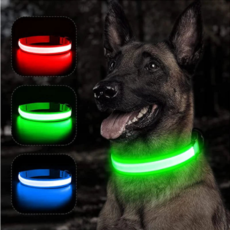 Luxury LED Dog Collar | USB Rechargeable Glow Light Safety Collar with Pendant