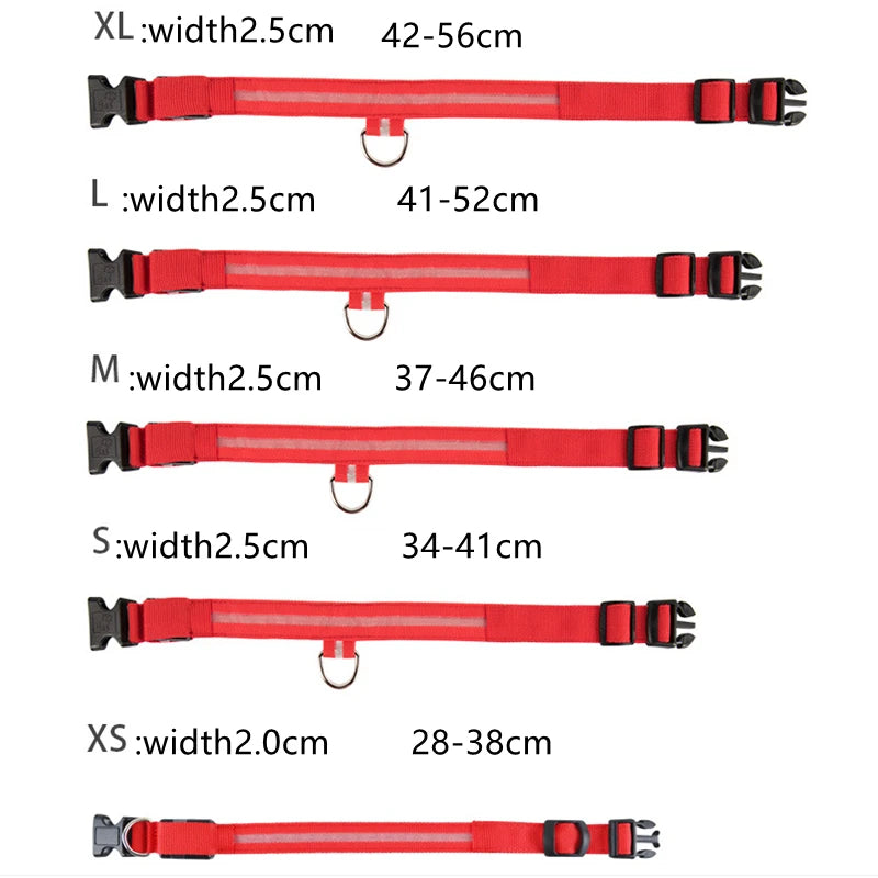 Luxury LED Dog Collar | USB Rechargeable Glow Light Safety Collar with Pendant