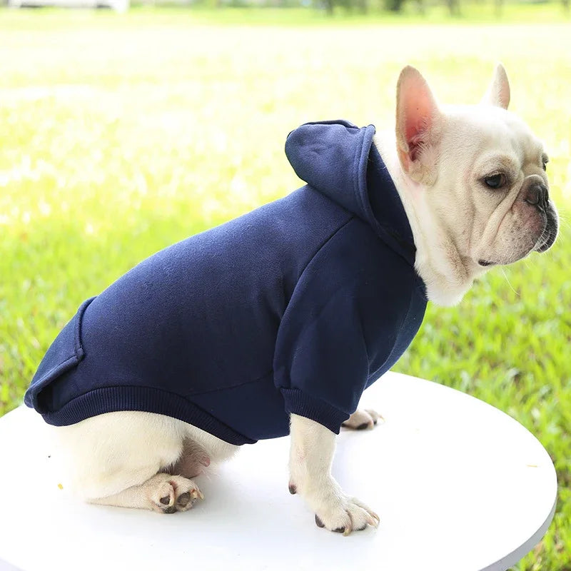 Warm Dog Hoodie | Pet Hoodie for Small Dogs (Soft & Comfortable)