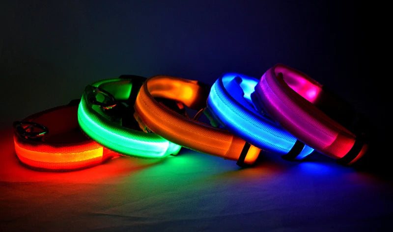 Luxury LED Dog Collar | USB Rechargeable Glow Light Safety Collar with Pendant