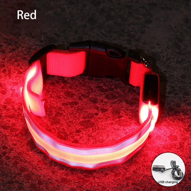 LED Dog Collar | Rechargeable Glow in the Dark Pet Safety Light Collar