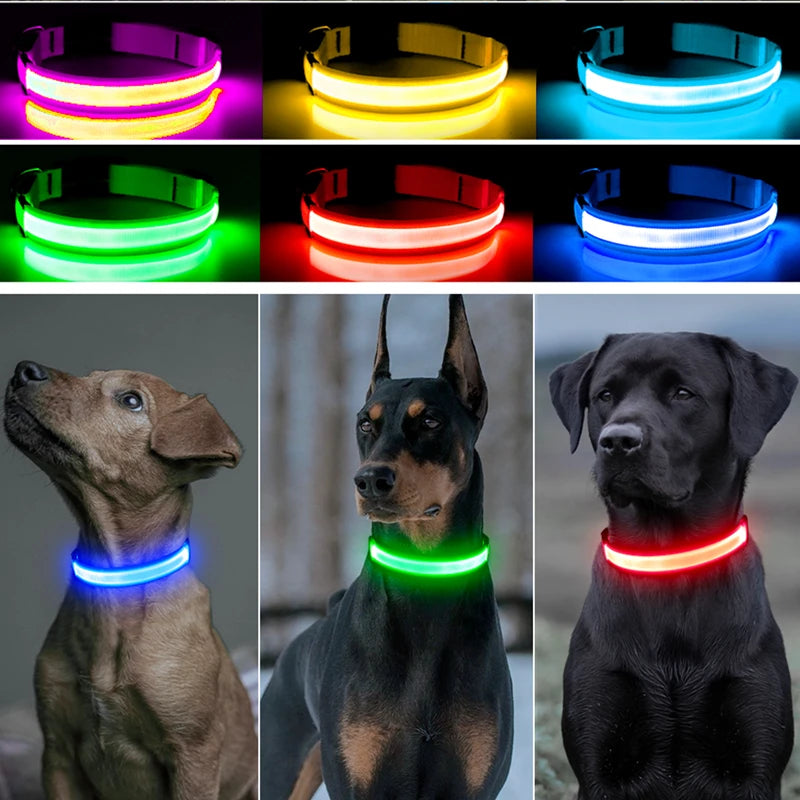 Luxury LED Dog Collar | USB Rechargeable Glow Light Safety Collar with Pendant