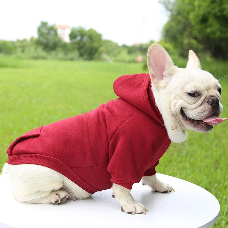 Warm Dog Hoodie | Pet Hoodie for Small Dogs (Soft & Comfortable)